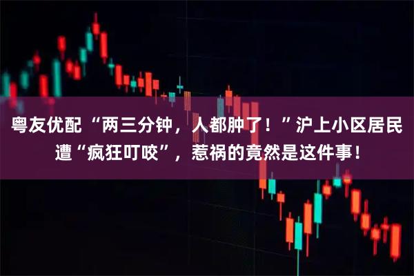 粤友优配 “两三分钟，人都肿了！”沪上小区居民遭“疯狂叮咬”，惹祸的竟然是这件事！