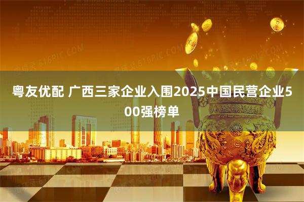 粤友优配 广西三家企业入围2025中国民营企业500强榜单