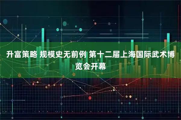 升富策略 规模史无前例 第十二届上海国际武术博览会开幕