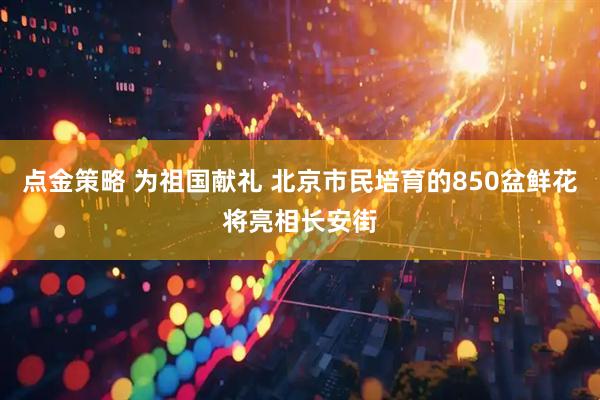 点金策略 为祖国献礼 北京市民培育的850盆鲜花将亮相长安街