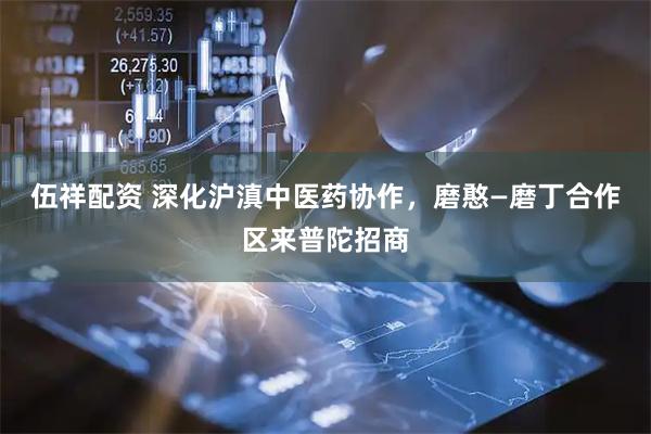 伍祥配资 深化沪滇中医药协作，磨憨—磨丁合作区来普陀招商
