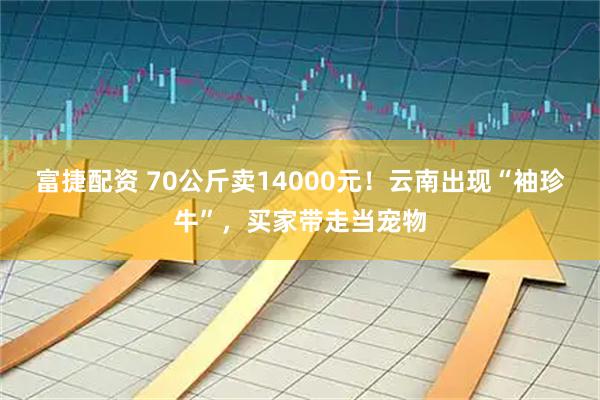 富捷配资 70公斤卖14000元！云南出现“袖珍牛”，买家带走当宠物
