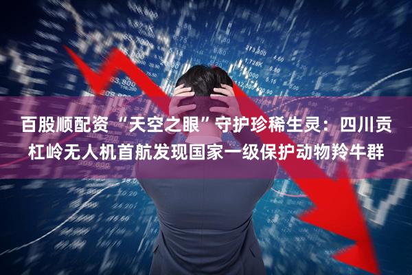 百股顺配资 “天空之眼”守护珍稀生灵：四川贡杠岭无人机首航发现国家一级保护动物羚牛群
